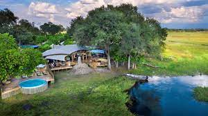 Phenomenal Women_Auction_African Bush Camps (1)