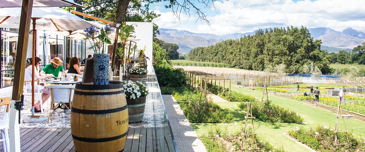 Phenomenal Women_Auction_Boschendal Wine Estate (1)