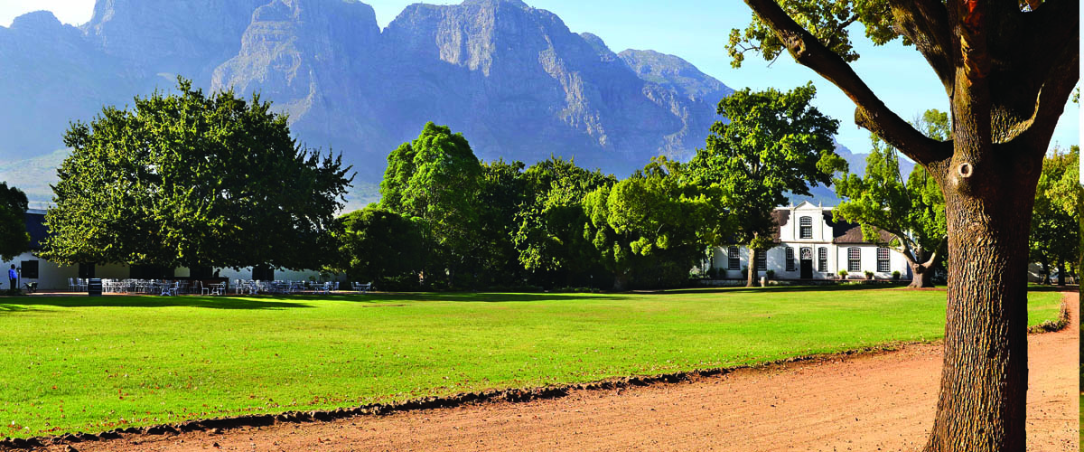 Phenomenal Women_Auction_Boschendal Wine Estate (6)